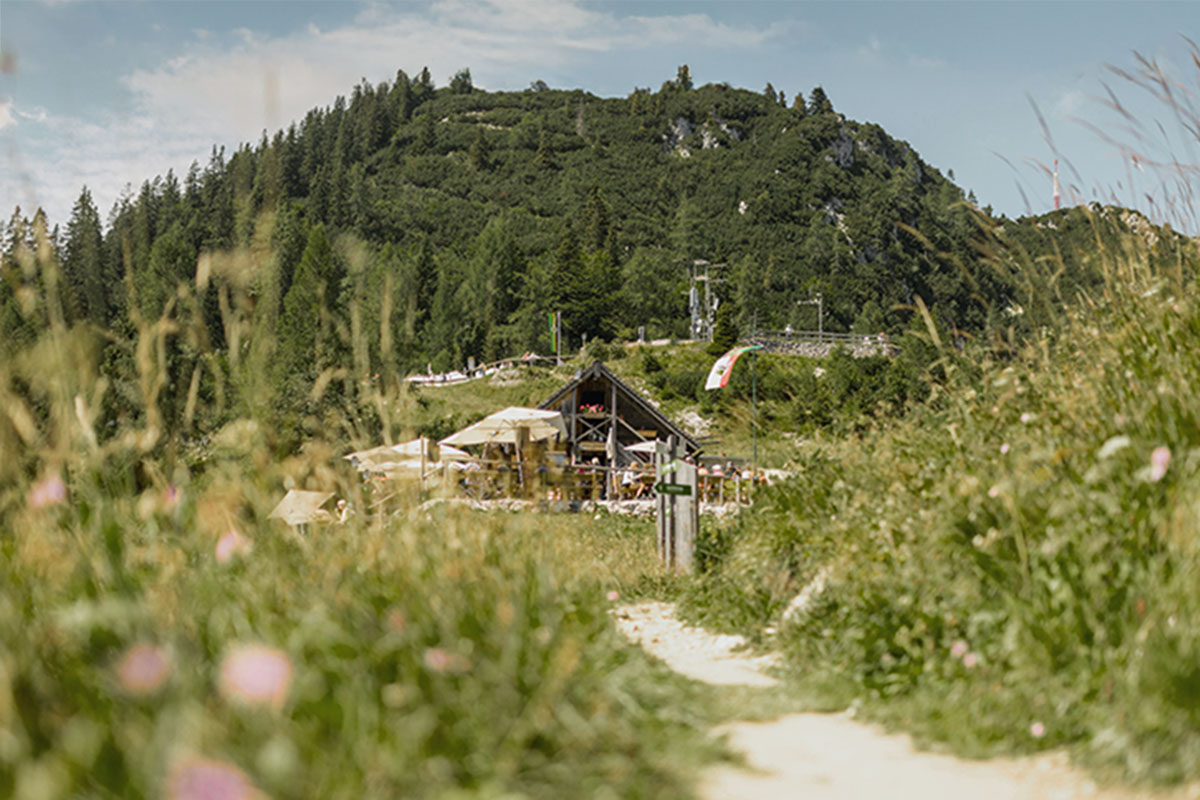 Ein Wanderweg im Salzkammergut führt vorbei an einer Holzhütte, im Hintergrund ein grün bewachsener Berg